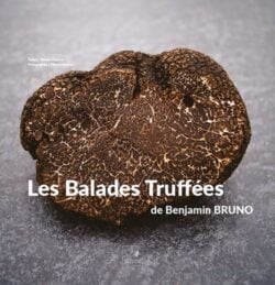 Benjamin Bruno - Les Balades Truffées